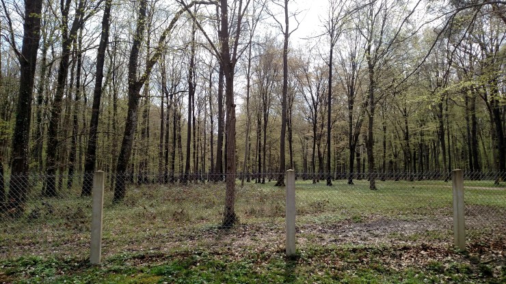 IMG_20160414_145722427