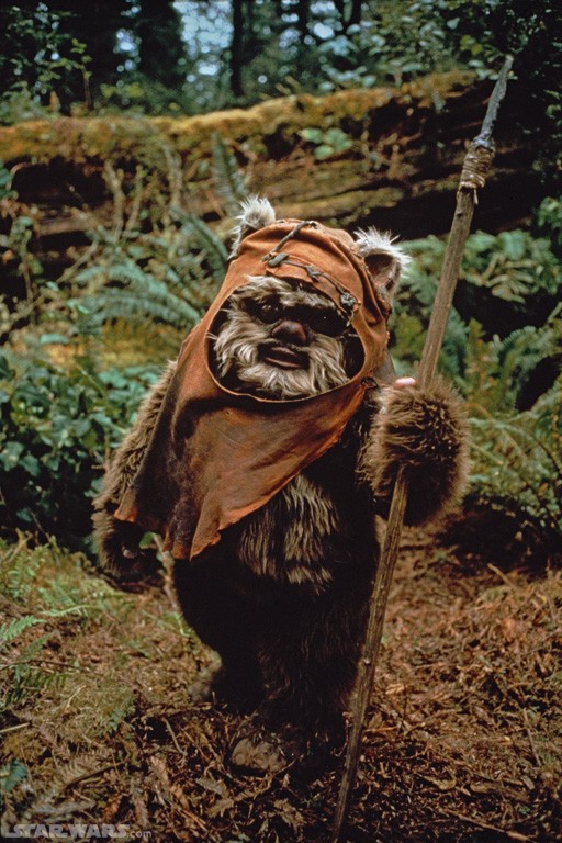 2009-11-01-ewok